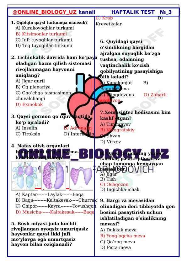 BIOLOGIYA FANIDAN DTM TESTLARI-30 TALIK