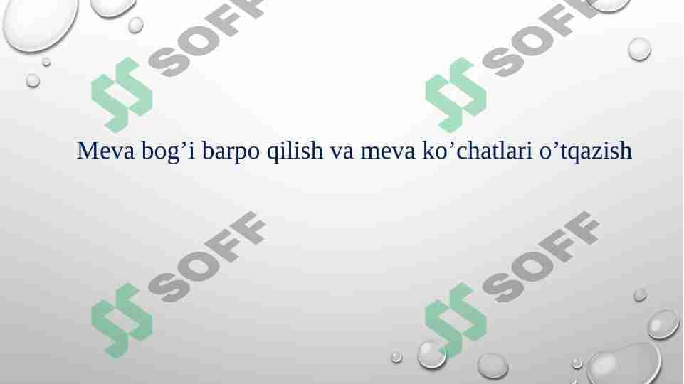 Meva bog’i barpo qilish va meva ko’chatlari o’tqazish