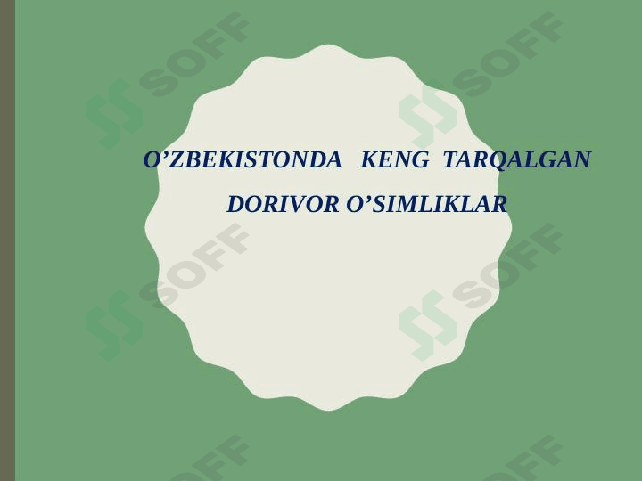 Oʻzbekistonda tarqalgan dorivor oʻsimliklar
