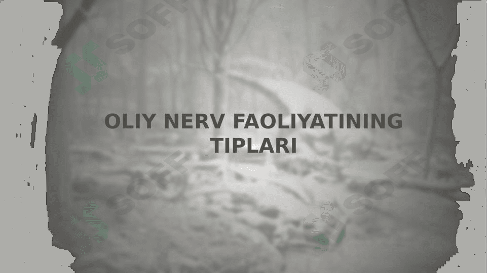 OLIY NERV FAOLIYATINING TIPLARI