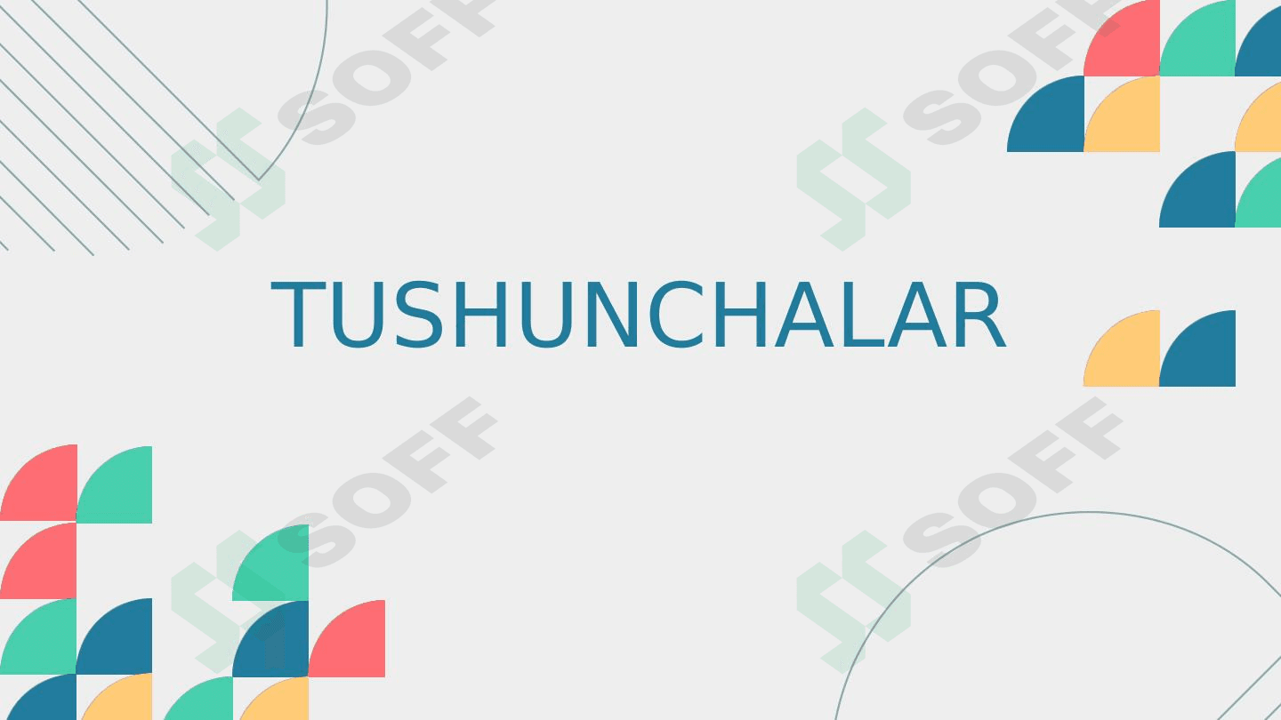 Tushunchalar
