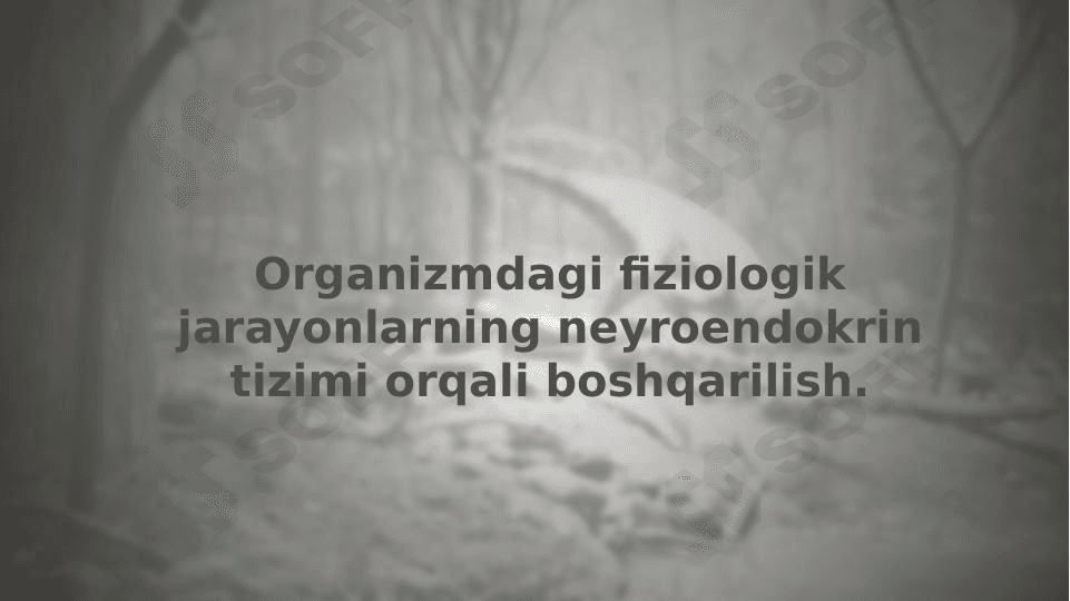Organizmdagi fiziologik jarayonlarning neyroendokrin tizimi orqali boshqarilish