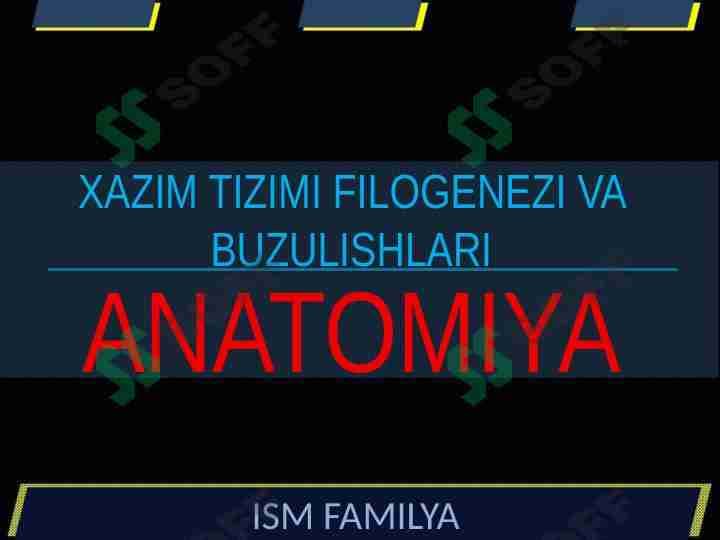 XAZIM TIZIMI FILOGENEZI VA BUZULISHLARI