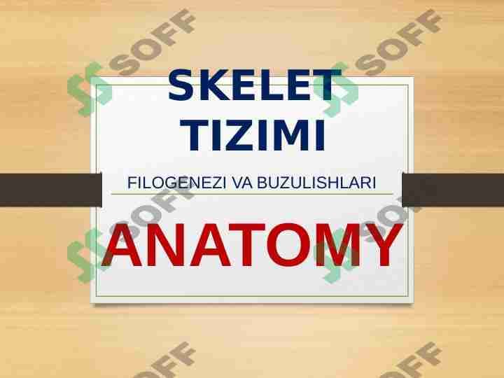 SKELET TIZIMI - FILOGENEZI VA BUZULISHLARI