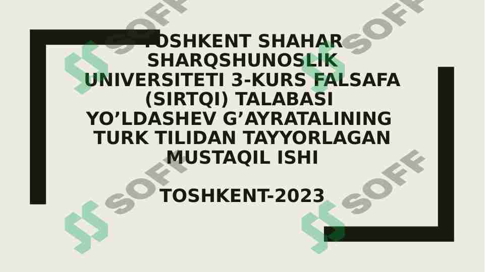 Turk oshxonasi