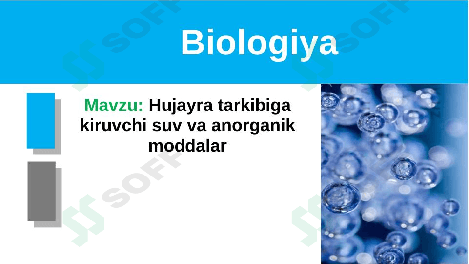 Hujayra tarkibiga kiruvchi suv va anorganik moddalar