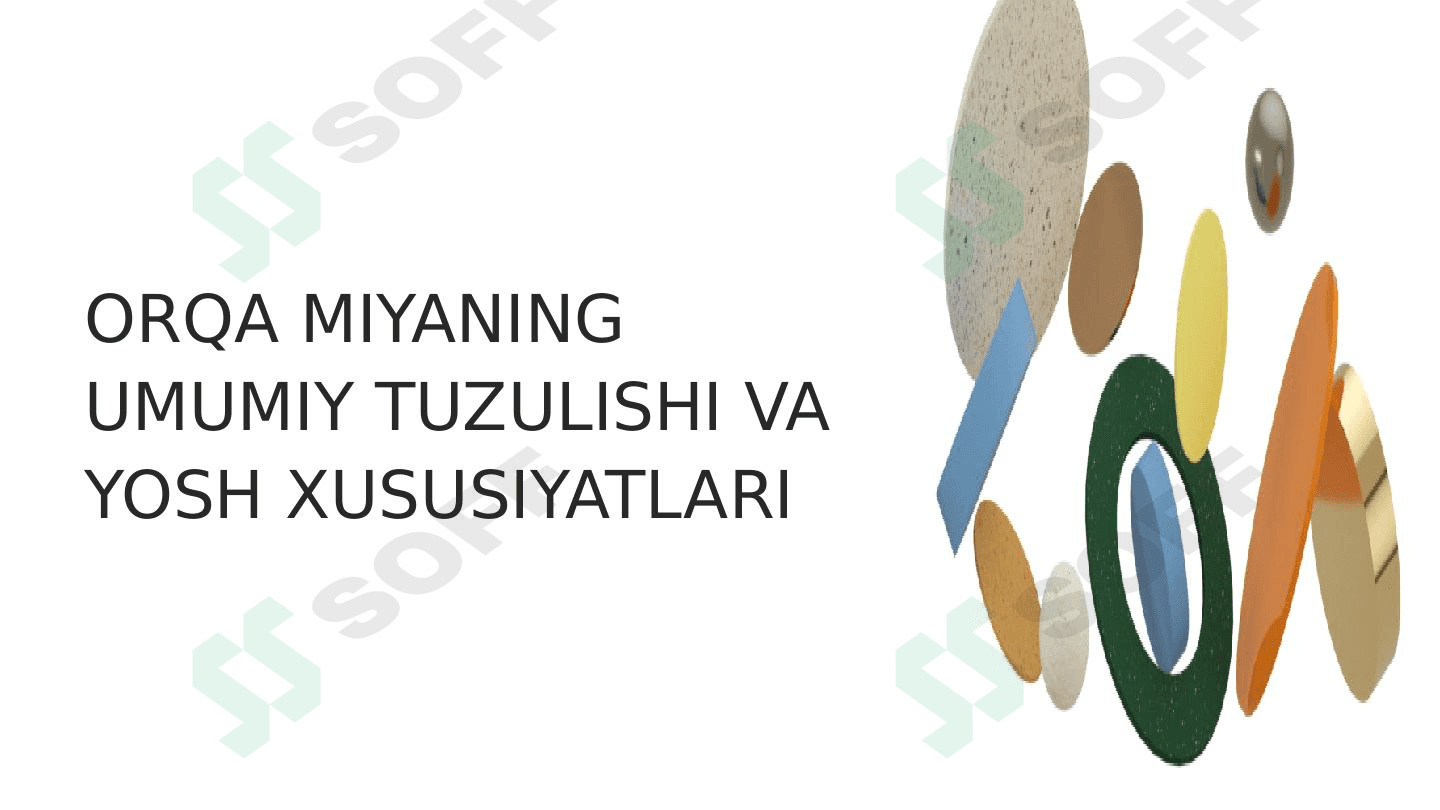 Orqa miyaning umumiy tuzulishi va yosh xususiyatlari