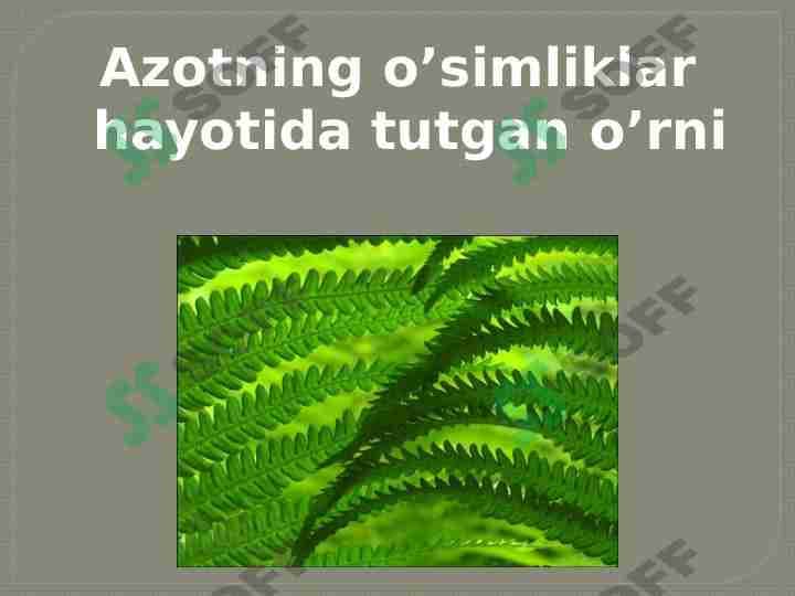 azotning o'simlik hayotida tutgan o'rni