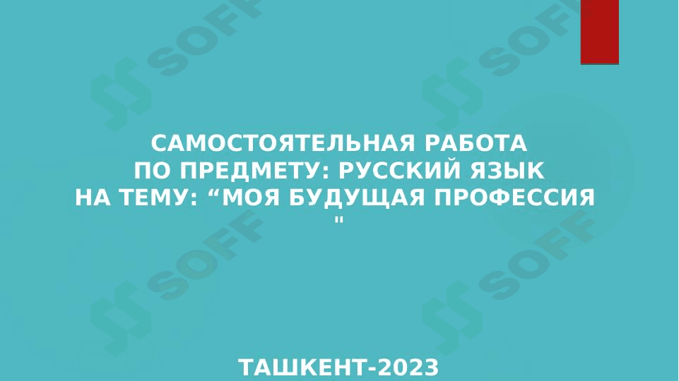 Моя будущая профессия