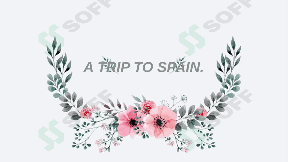 A TRIP TO SPAIN.