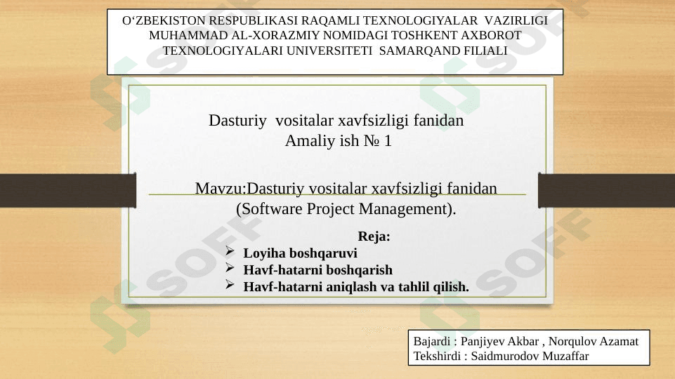 dasturiy vositalar xavfsizligi