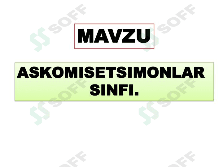 Askomisetsimonlar