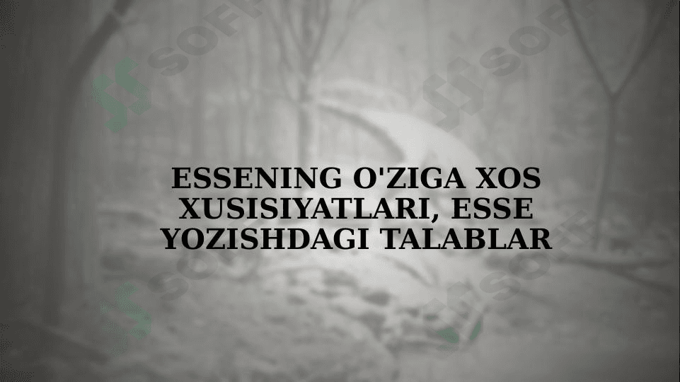 Essening o'ziga xos xusisiyatlari, Esse yozishdagi talablar