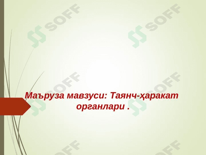 Tayanch harakatlanish organlari.