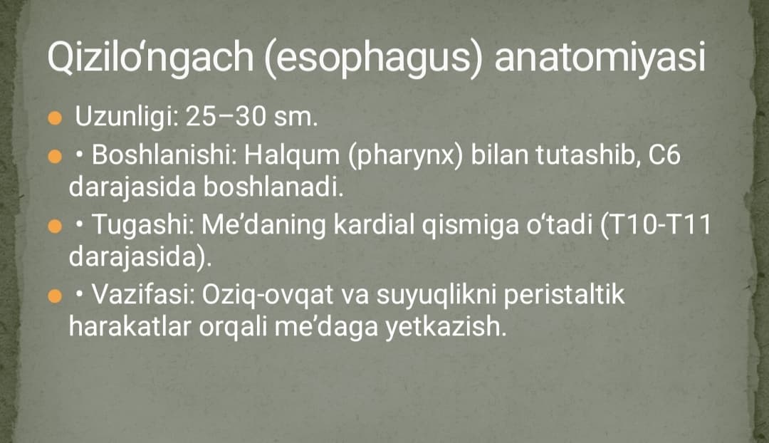 Qizilo‘ngachning tug‘ma va orttirilgan nuqsonlarida bajariladigan operatsiyalar