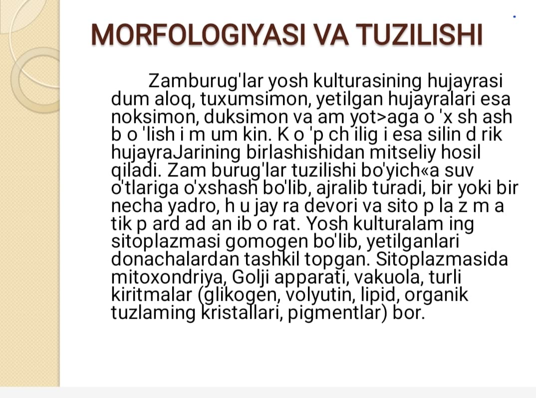 Zamburug’lar sodda jonivorlar ularning morfologiyasi strukturasi va ularni mikroskopik o’rganish usullari