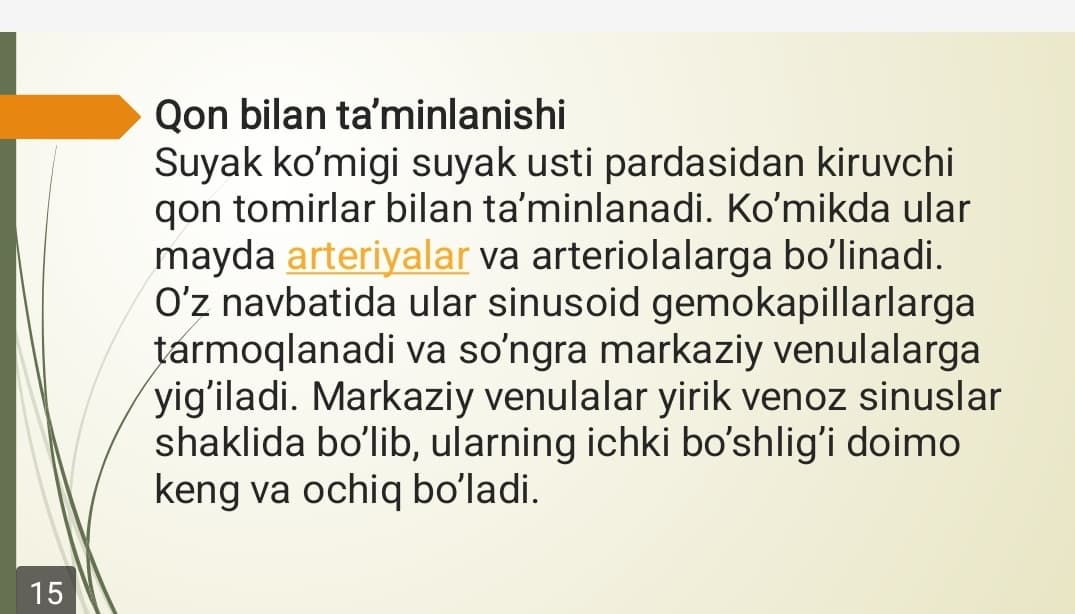 Suyak koʻmigi: rivojlanishi, tuzilishi va vazifasi. Qizil suyak koʻmigi, Sariq suyak koʻmigi