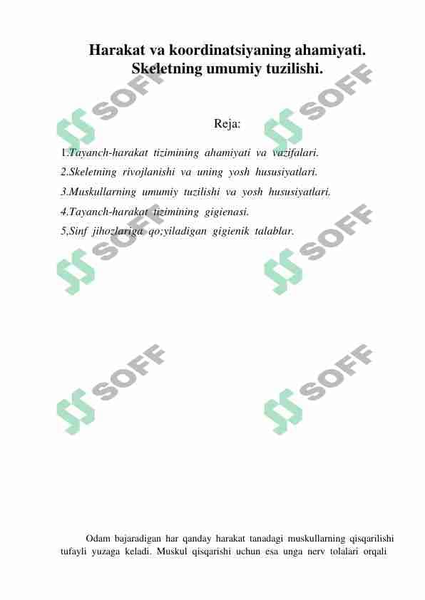 Harakat va koordinatsiyaning ahamiyati. Skeletning umumiy tuzilishi.