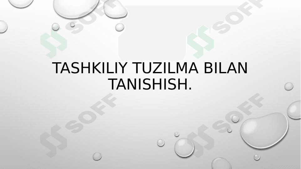 Tashkiliy tuzilma bilan tanishish.