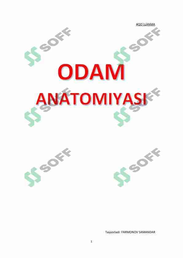 Odam anatomiyasi