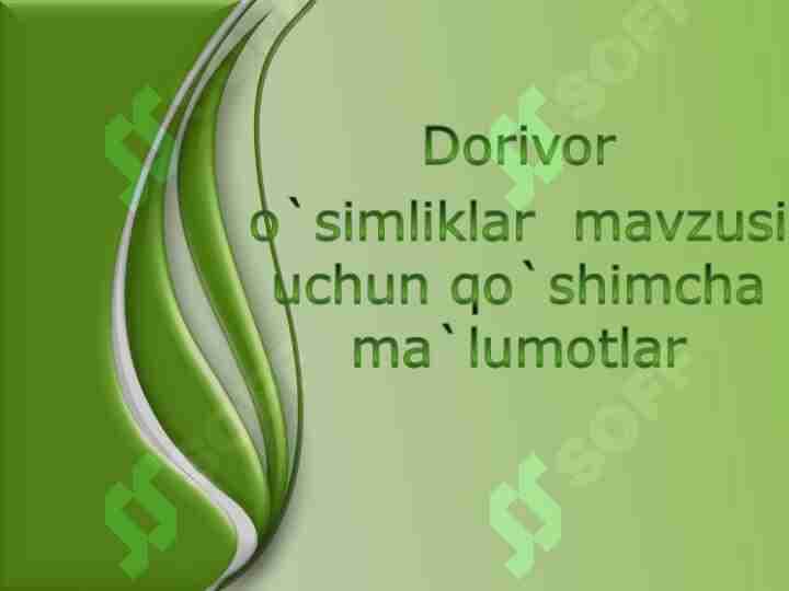 Dorivor o'simliklar