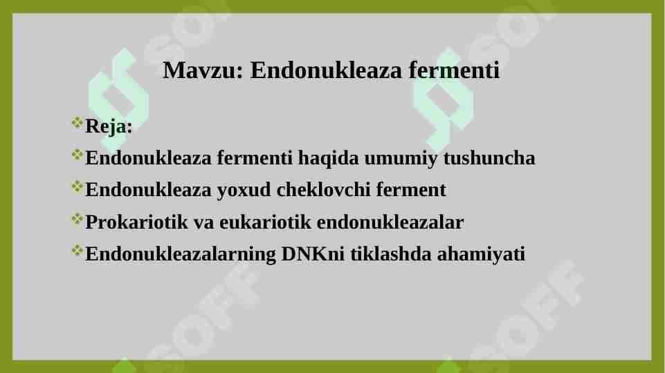 Endonukleaza fermenti