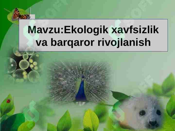 Ekologik xavfsizlik va barqaror rivojlanish