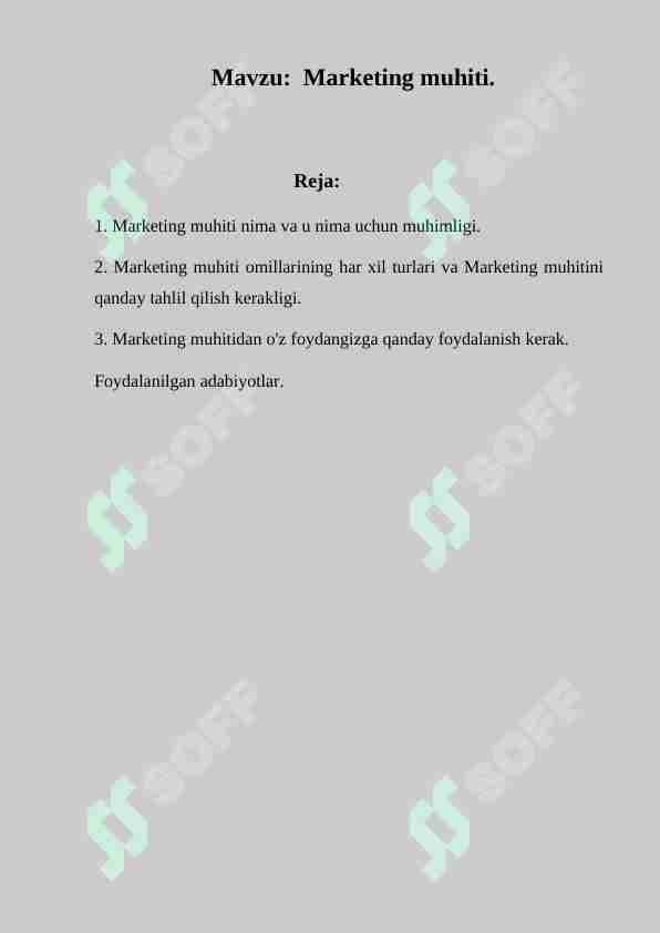 Marketing muhiti