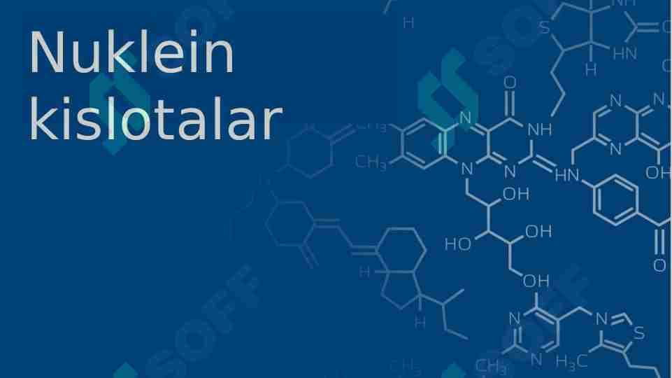 Nuklein kislotalar