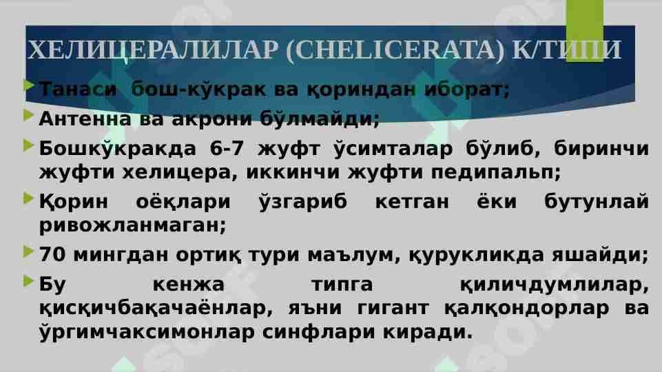 O‘rgimchaksimonlar