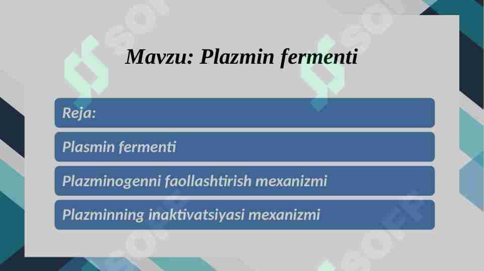 Plazmin fermenti