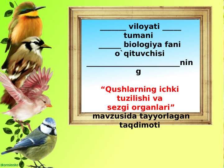 Qushlarning ichki tuzilishi va  sezgi organlari