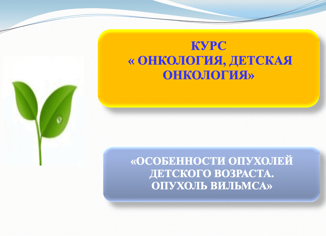 Нефробластомa ppt