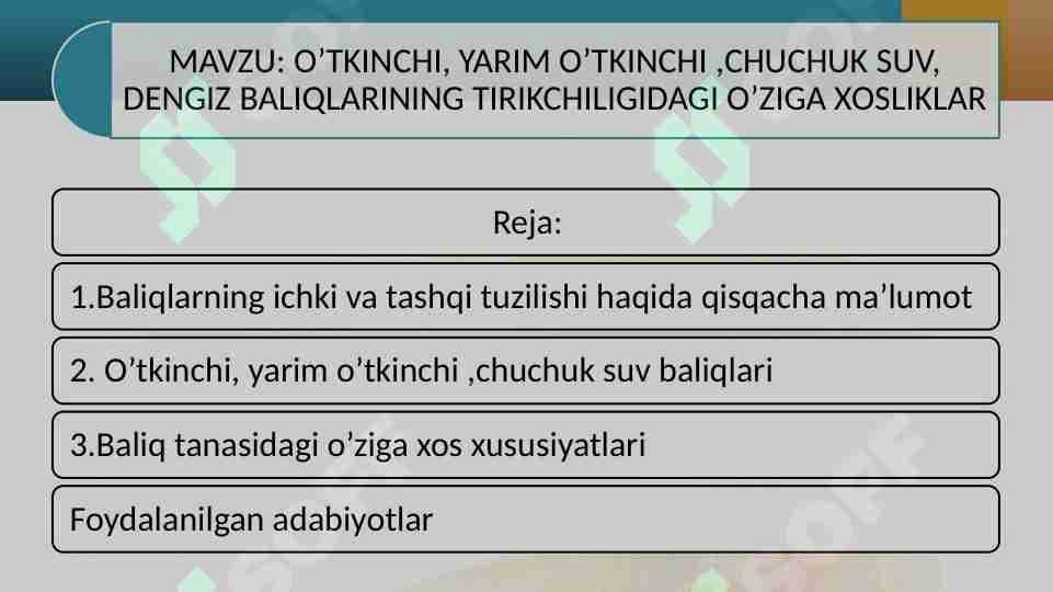 O’TKINCHI, YARIM O’TKINCHI ,CHUCHUK SUV, DENGIZ BALIQLARINING TIRIKCHILIGIDAGI O’ZIGA XOSLIKLAR