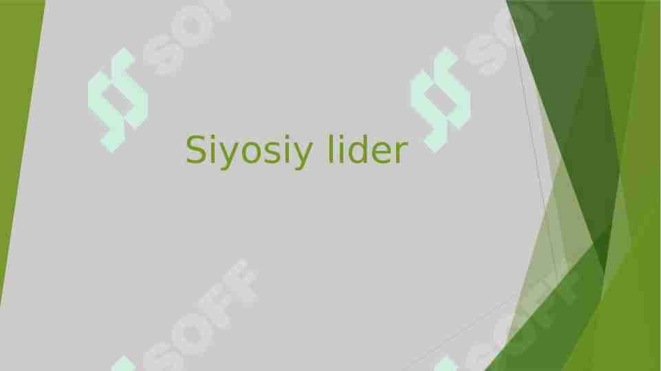 Siyosiy lider