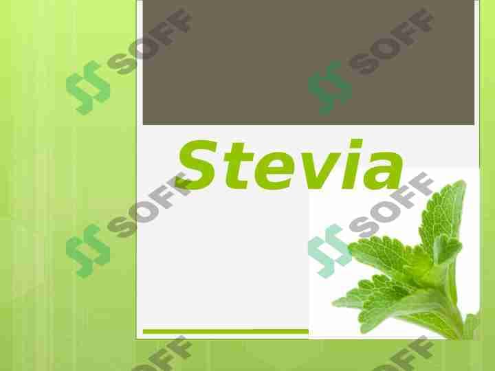 Stevia
