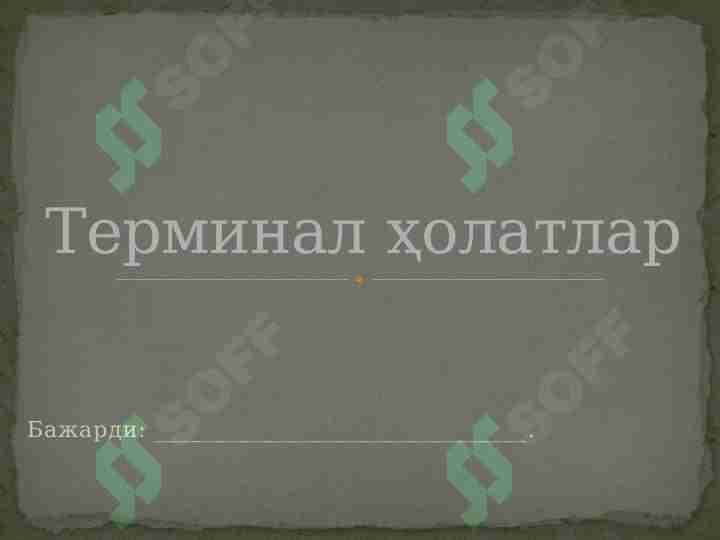 TERMINAL XOLATLAR