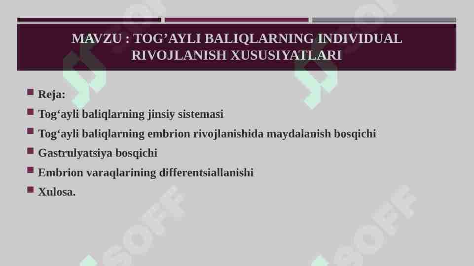 Tog’ayli baliqlarning individual rivojlanish xususiyatlari