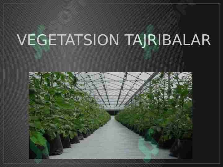 VEGETATSION TAJRIBALAR