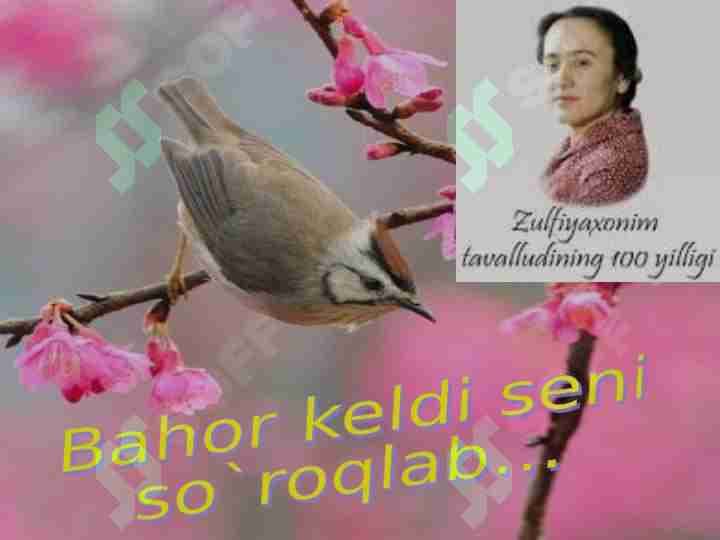 Zulfiya
