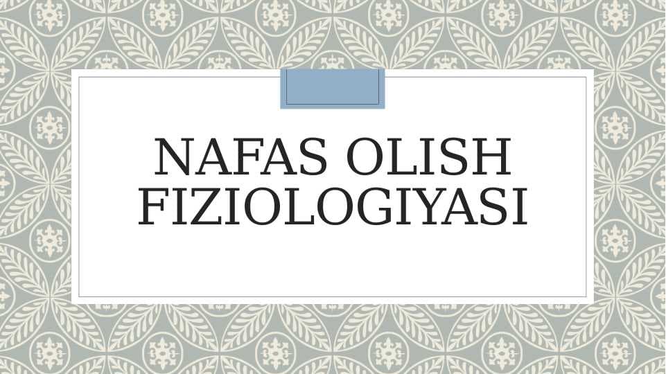 Nafas olish fiziologiyasi