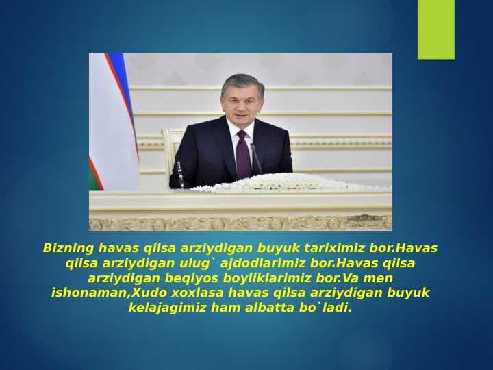 Zanjir reaksiyalar slayd