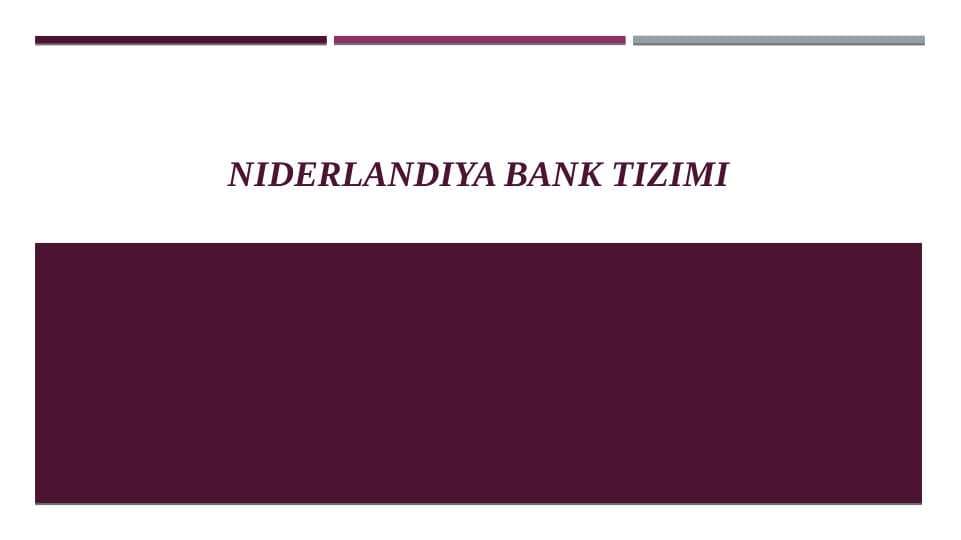 NideRlandiya bank tizimi