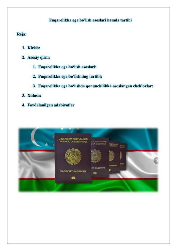 Fuqarolikka ega bo’lish asoslari hamda tartibi 25
