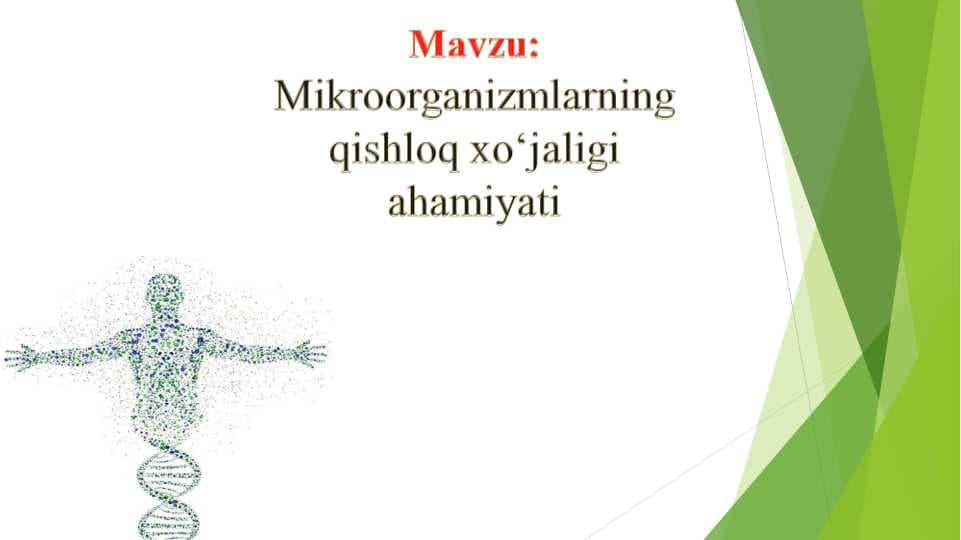 Mikroorganizmlarning qishloq xo‘jaligi ahamiyati