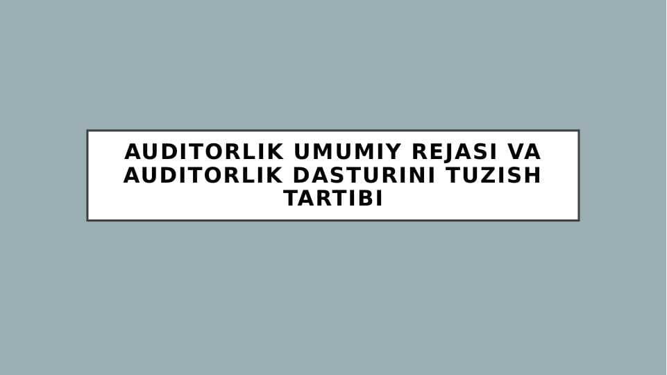 Auditorlik umumiy rejasi va auditorlik dasturini tuzish tartibi