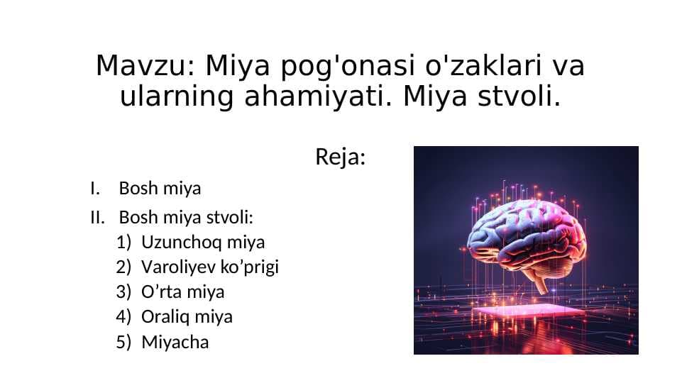 Miya pog'onasi o'zaklari va ularning ahamiyati. Miya stvoli.