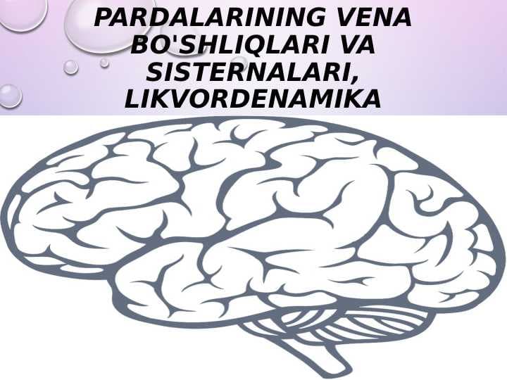 Bosh miya pardalarining vena bo'shliqlari va sisternalari, likvordenamika