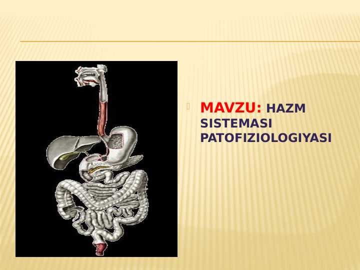 HAZM SISTEMASI PATOFIZIOLOGIYASI