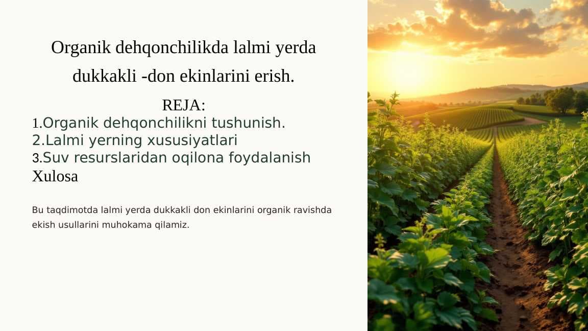 Organik dehqonchilikda lalmi yerda dukkakli -don ekinlarini erish.